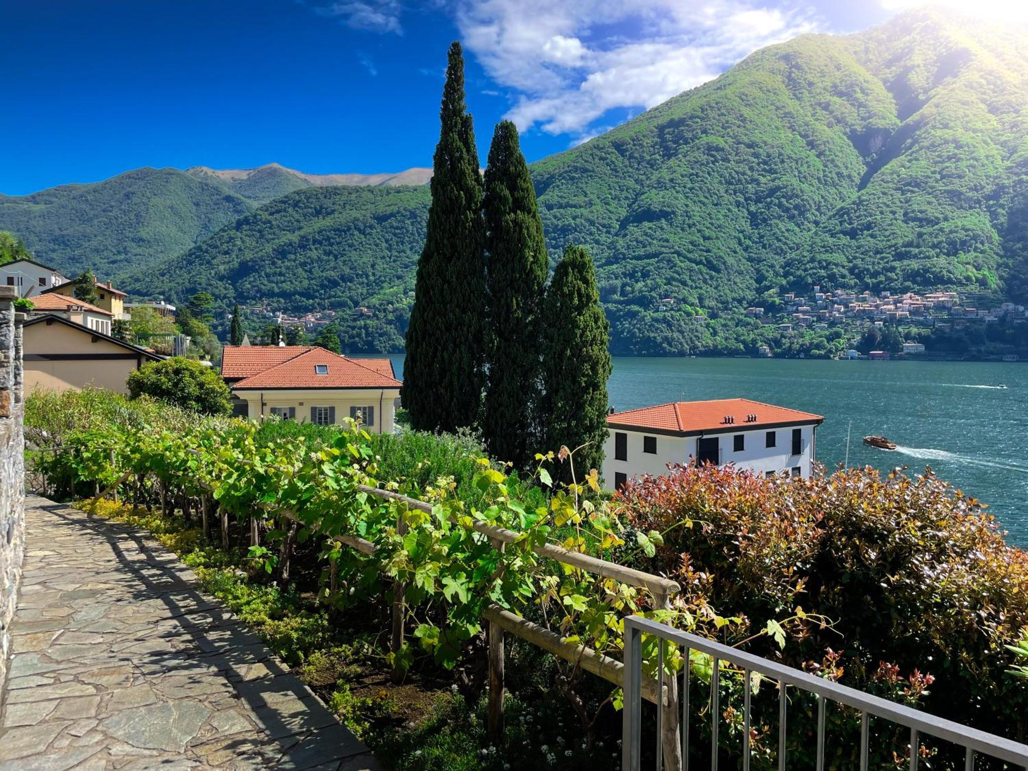Villa Luminosa Laglio - Private Parking, Garden Extérieur photo